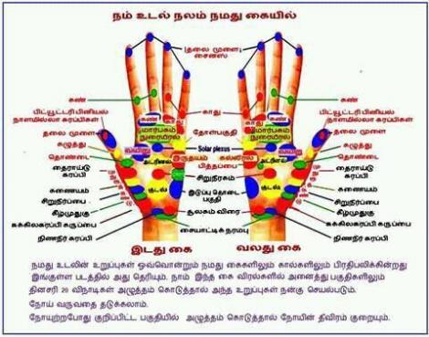 நம் உடல்