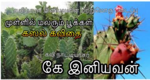 முள்ளில் மலரும் பூக்கள்