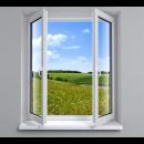 window