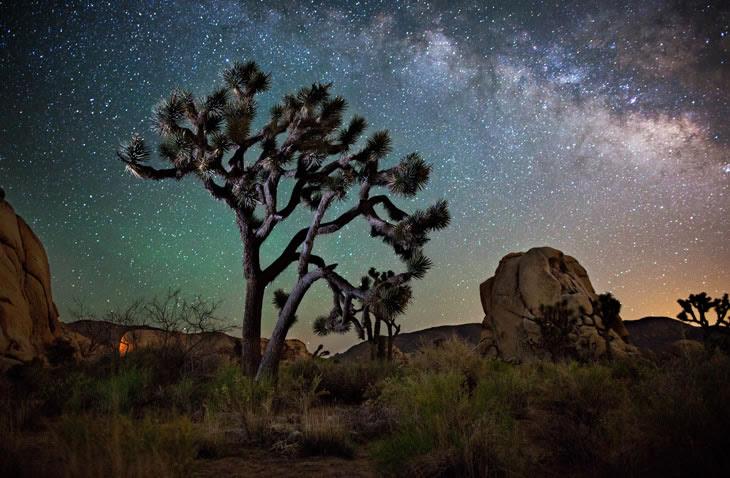 எனக்கு பிடித்த புகைப்பட கலைஞ்சர் கார்ல் டெய்லொர் என்பவரி படைப்பு