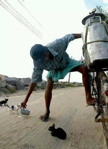 Shyamala Rajasekar எண்ணம்