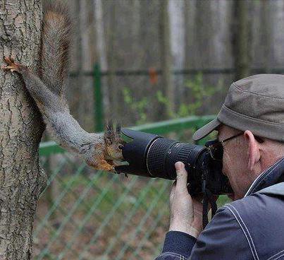 ranibala எண்ணம்