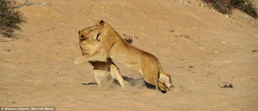 Venkatachalam Dharmarajan எண்ணம்