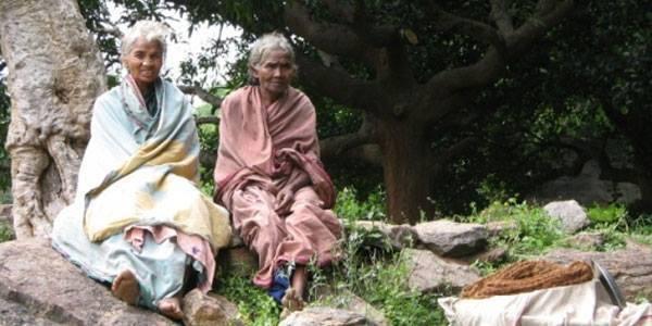 Shyamala Rajasekar எண்ணம்