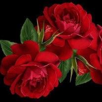 s.shanmugapriya எண்ணம்