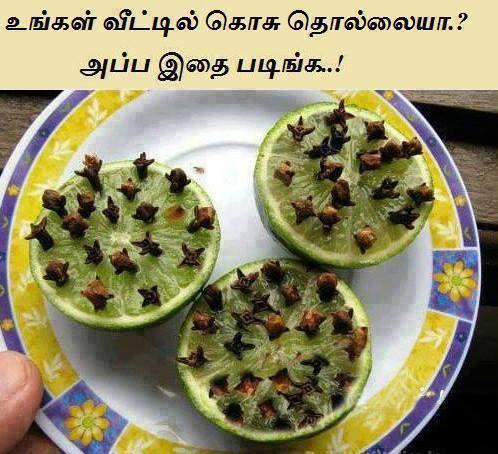 வீட்டில் கொசு தொல்லை நீங்க