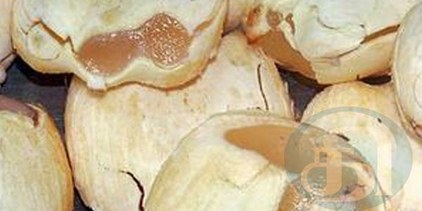 சதீஸ் குமார் எண்ணம்