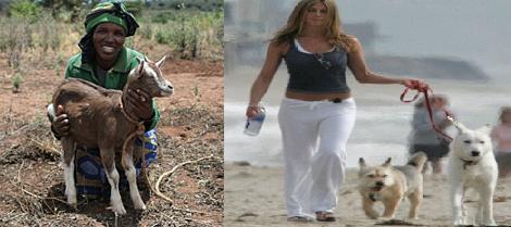 செல்ரா எண்ணம்