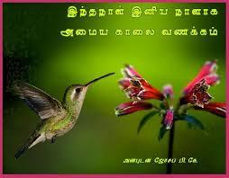 Little vijay எண்ணம்