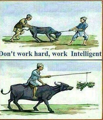 அஹமது அலி எண்ணம்