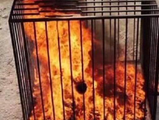 தீவிரவாதிகளால் உயிருடன் கொளுத்தப்பட்ட விமானி