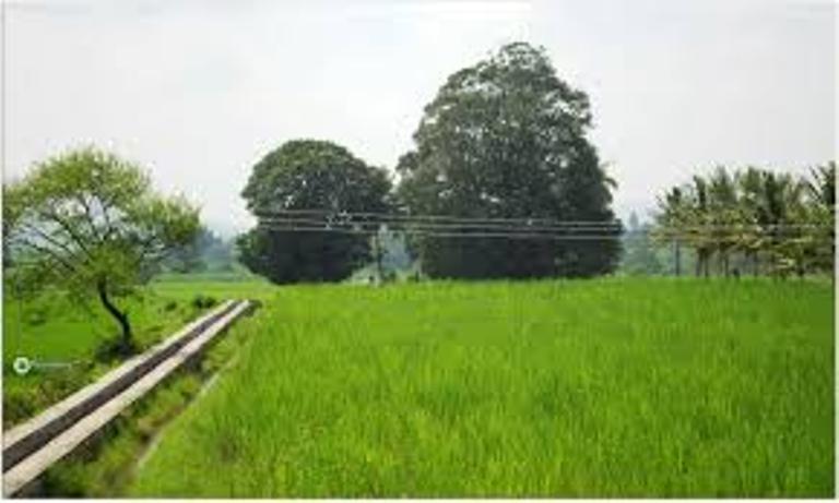 C. SHANTHI எண்ணம்