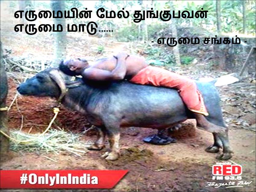 fathima fasrina எண்ணம்