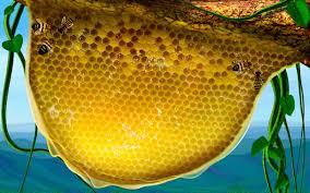 udaya sun எண்ணம்