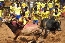 தமிழ் செய்திகள் எண்ணம்