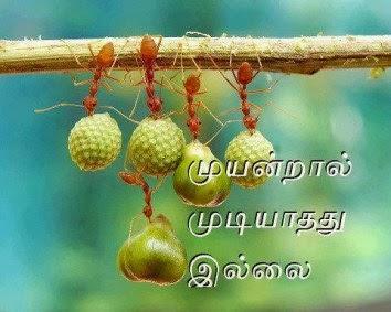 SHAN PAZHANI எண்ணம்