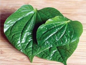 velayutham avudaiappan எண்ணம்