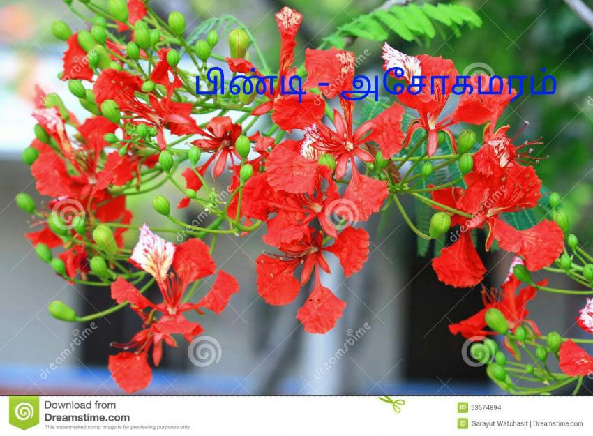 Idhayam Vijay எண்ணம்