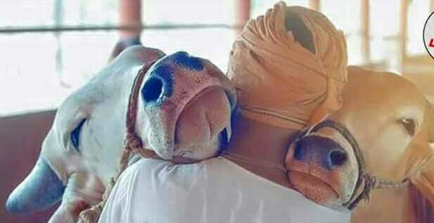 Raa.Vinoth எண்ணம்