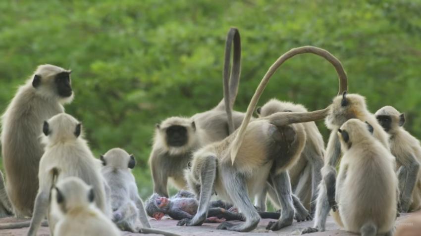 rajkumarr எண்ணம்