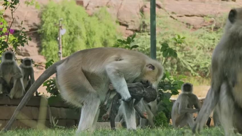 rajkumarr எண்ணம்