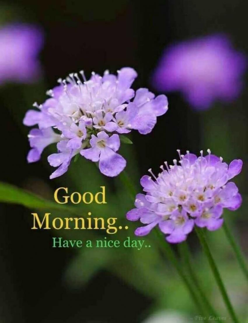 துறைவன் எண்ணம்