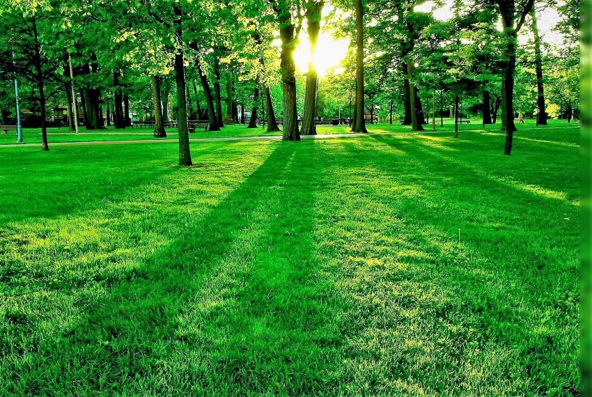 பழனி குமார் எண்ணம்