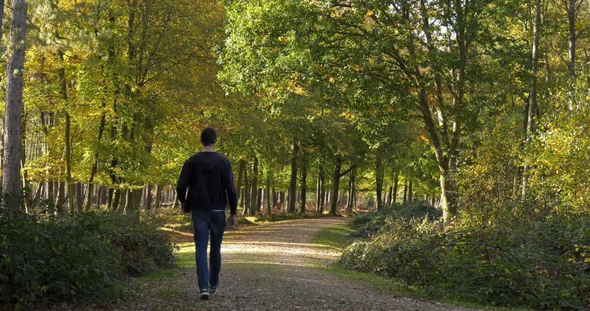 பழனி குமார் எண்ணம்