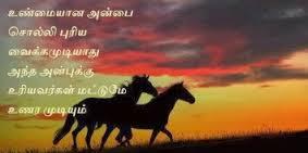 என் அன்பான நண்பர்களுக்கு இனிய மாலை வணக்கம்