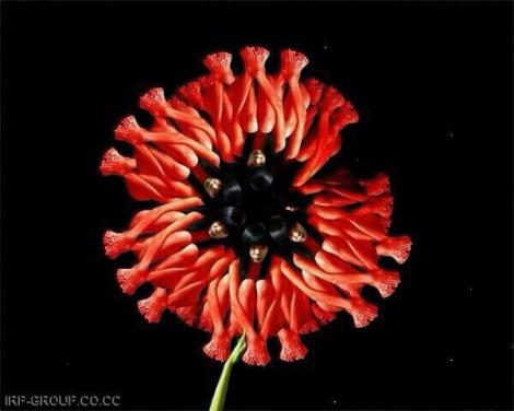 இந்த பூக்களை