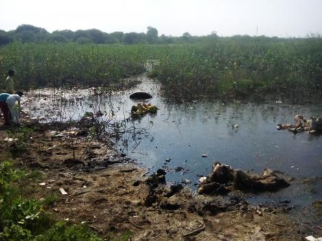  “காலநிலை