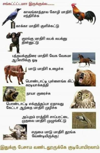 என்னஒரு