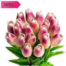 Image result for tulip flower single