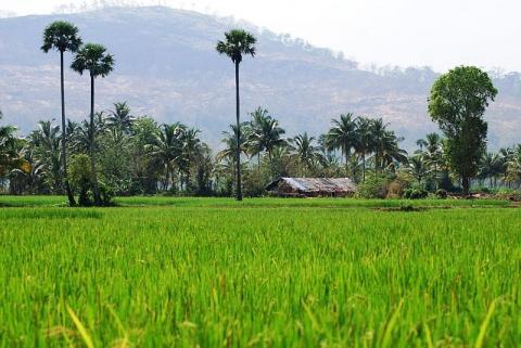 நண்பர்களுடன் கவிதை பகிர்வு | கேள்வி பதில்கள் | Eluthu.com