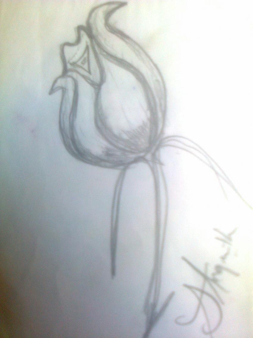 மெல்பின் போஸ் ஓவியம்