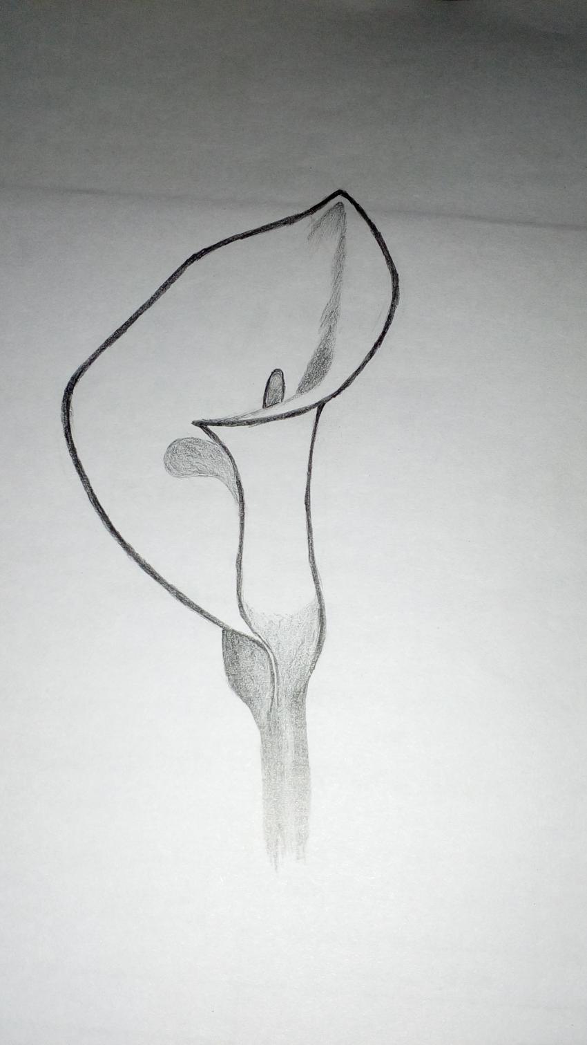 நிவேதா சுப்பிரமணியம் ஓவியம்