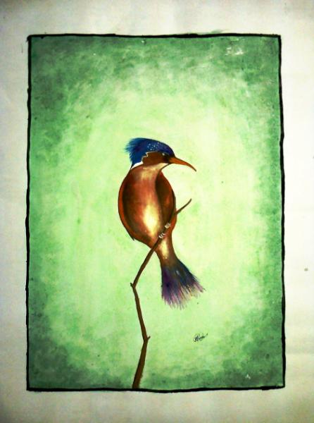 நான் வரைந்த