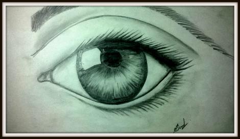 நான் வரைந்த