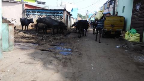 சுத்தம் வீட்டிற்கும் நாட்டிற்கும் அவசியம்