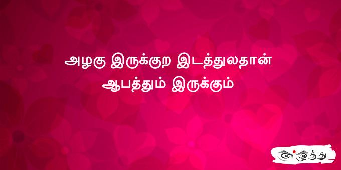 அழகு இருக்குற இடத்துலதான் ஆபத்தும் இருக்கும்