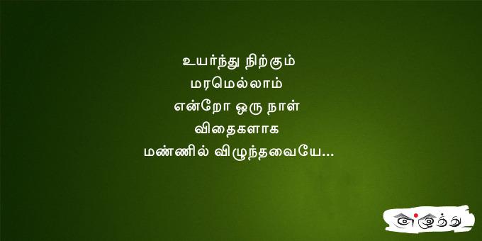 உயர்ந்து நிற்கும் மரமெல்லாம் என்றோ ஒரு