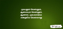 முயலும் வெல்லும், ஆமையும்