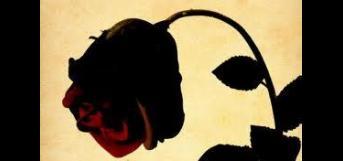 கருவில் இருந்து கைக்குழந்தை வரை 