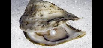 எழுதுகோல்