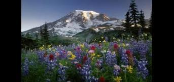 தாய் இல்லாமல் நான் இல்லை