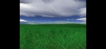 பிச்சைக்காரர்கள்.....!!!