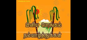 அன்றும் இன்றும் என்றும் - பொங்கல்