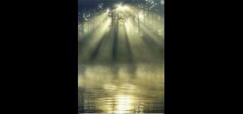 தோற்றது என் தூக்கம்!