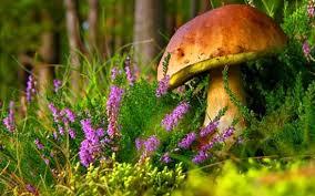 சிறு துரும்பும் பல் குத்த உதவும்