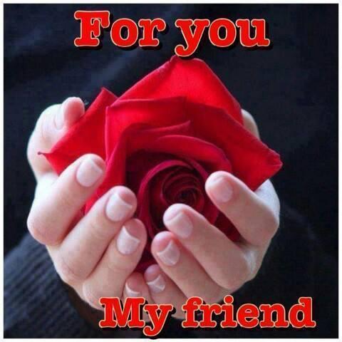 புரிந்துகொள்